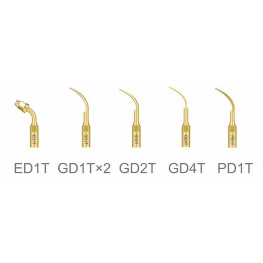 Ultrasonido Scaler DTE D5 LED